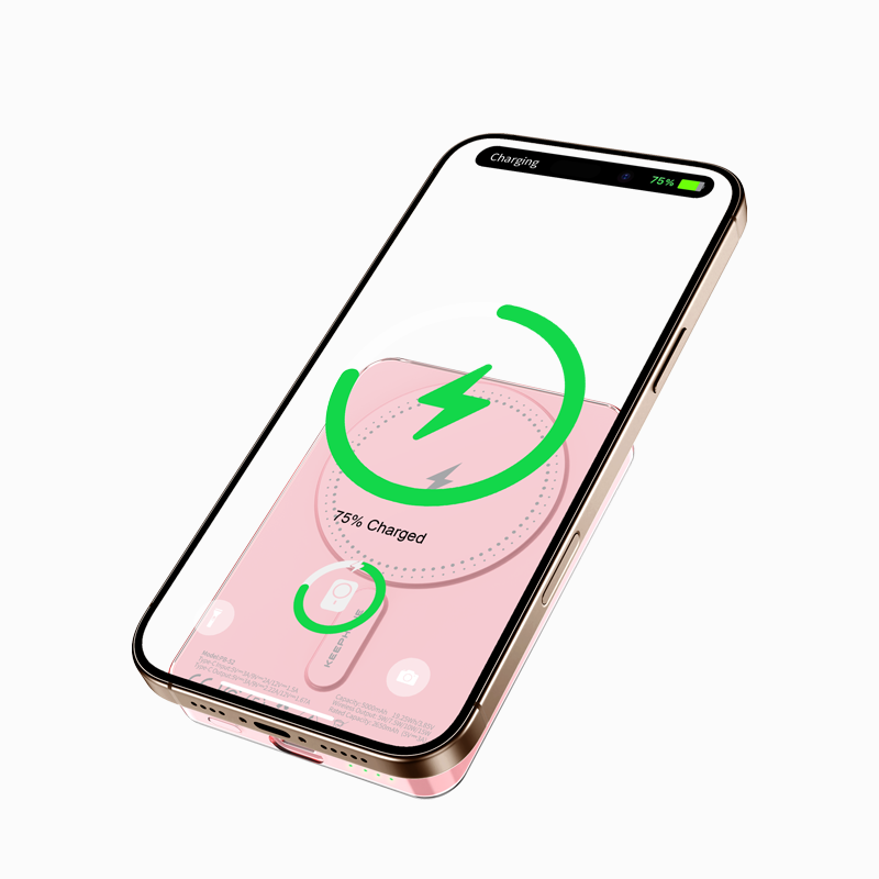 IceMag Power Bank 5000mAh - الصورة 5